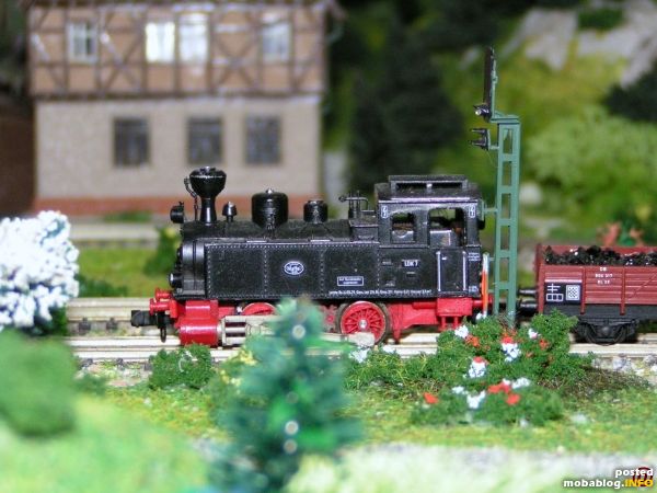 Nebenbei wurde es auch Frühling, und es blüht auf meiner Anlage.