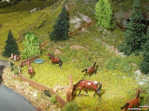 Da es ja auch Urlaub auf dem Bauernhof gibt, d�rfen Pferde auf der Pferdekoppel nicht fehlen. Urlauber haben es sich auf der Bank davor gem�tlich gemacht und genie�en die Natur ...