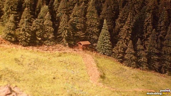 Auch für die Waldtiere wird gesorgt.