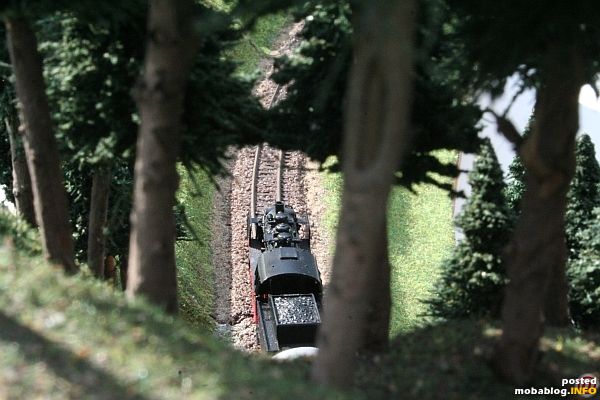 ... und der Blick aus dem Wald auf die Strecke.