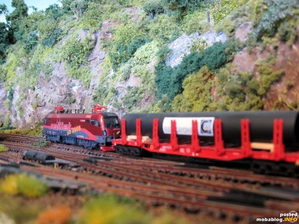 Der Railjet-Taurus mit einem Güterzug. Alle 1116 mit Ausnahme der EM-Loks für Deutschland, Griechenlad, Holland und Spanien) wurden von mir selbst gestaltet.