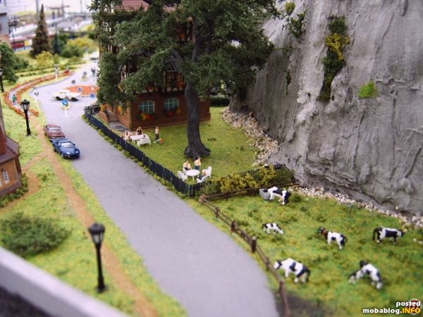Ein Blick in den Garten des Hauses am Kreisverkehr (siehe Teil 1), wo die Bewohner auch das herrliche Sommerwetter geniessen.