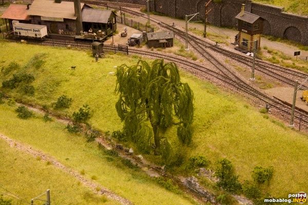 Trauerweide am BAch. Hinten ist noch Franz Branntwein zu sehen.