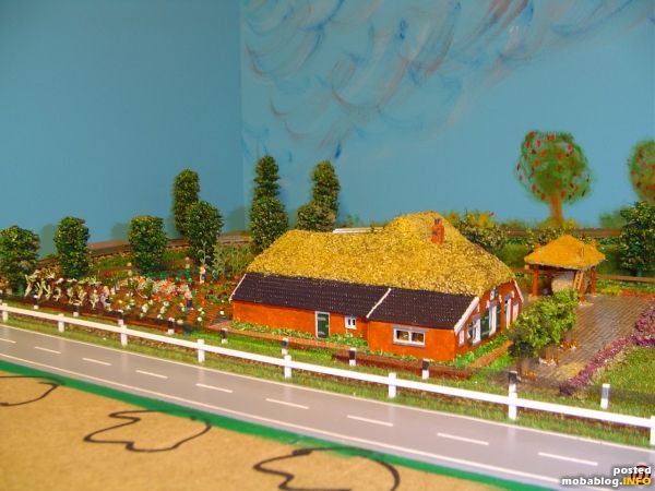 Hier finden sie einen bauernhof mit land mit gemüse.