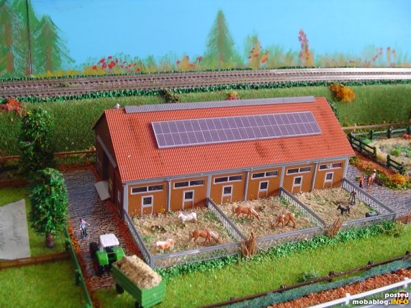 De paardenstallen met buitenbakken.