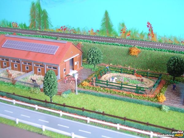 De paardenmanege met de buitenbak.