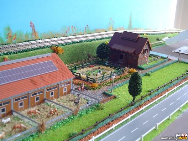Paardenmanegen met buitenbak en schuur met dierenwei.