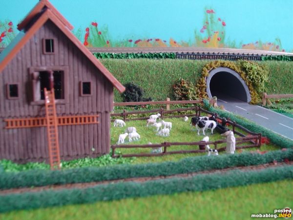 Schuur met dierenwei.