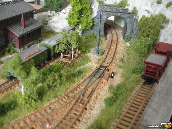 Das Achslager im Abstellbereich ist schon ganz zugewachsen ... Im Vordergrund das Zufahrtsgleis zur Sandverladung.