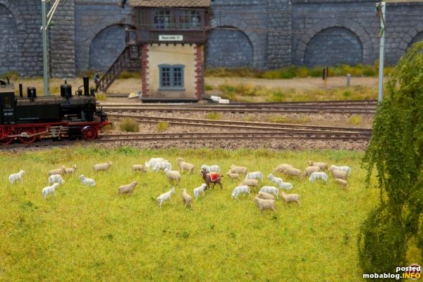 Für die, die's nicht wissen: Der Geißbock "Hennes" ist bei allen Heimspielen dabei, er war - bis zu dessen Tod - bei einem Bauern namens Wilhelm Schäfer beherbergt, der ...