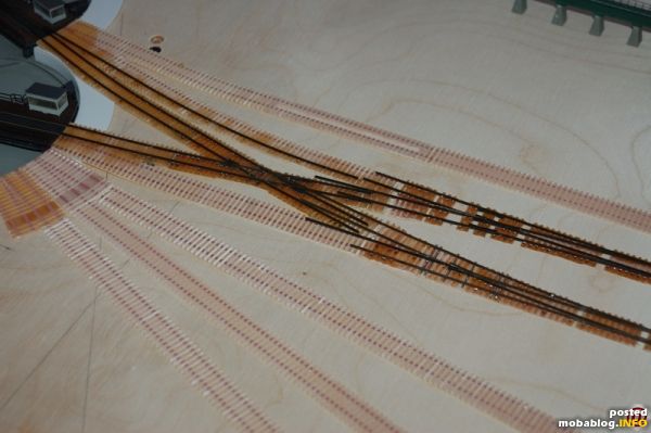 Die ersten Schienen sind mit Code 40 Gleisprofilen gebaut und lose ausgelegt.