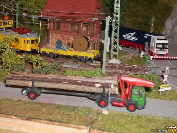 Langholztransporter mit Kran