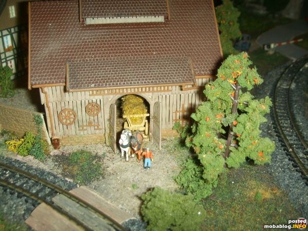ein paar Impressionen vom Bauernhof