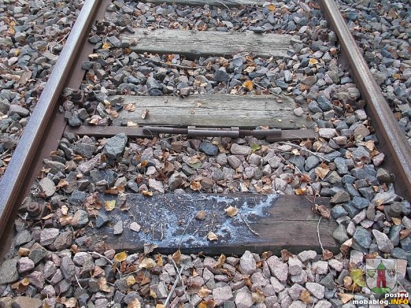 Die Vorbildsituation eines eingebauten Spureisen im Gleis der ehemaligen Zschornewitzer Kleinbahn