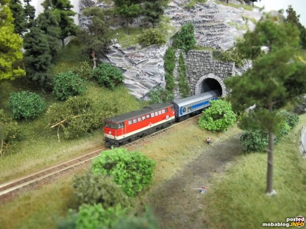 Ein kurzer Blick auf die Clubmodule: hier verlässt eine Diesellok der Reihe 2043 mit einem Güterzug den Tunnel bei Türnitz.