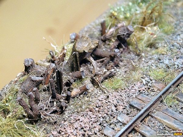 Es wurden ein paar Baumstümpfe aus Trieblingen des Ahornbaum neben die Strecke gesetzt ...