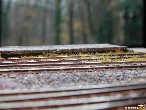 Es werden auf dem Westentaschen - Modul Nr. 1 bei einer Größe von 600 mm x 200 mm x 100 mm die Gleise weiterhin verfeinert.