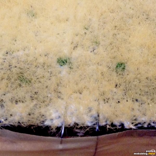 Wichtig ist nun satt zu begrasen bzw. zu „beweizen“ und danach mit dem leeren Gerät die Fasern noch einmal aufzustellen. Unmittelbar danach habe ich meinen Staubsauger verwendet, um lose und ...