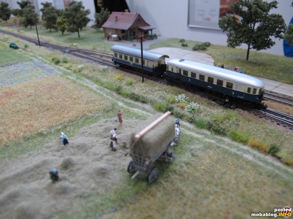 Ein besonderes Schmankerl ist der Dieseltriebwagen VT5041 mit Spantenbeiwagen, der hier in der Weite des Weinviertels unterwegs ist.