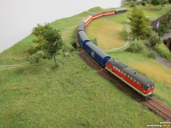 Unser Radtramper hat bereits Enzersdorf-Staatz hinter sich gelassen und setzt seine Fahrt in Richtung Gerichtsberg fort.