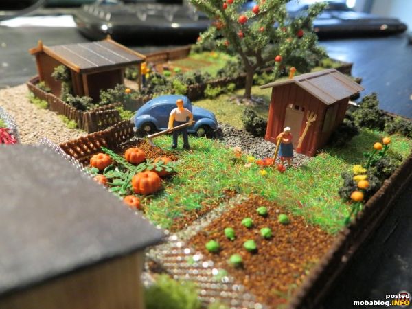 Die Oma ist zufrieden mit ihrem Garten.