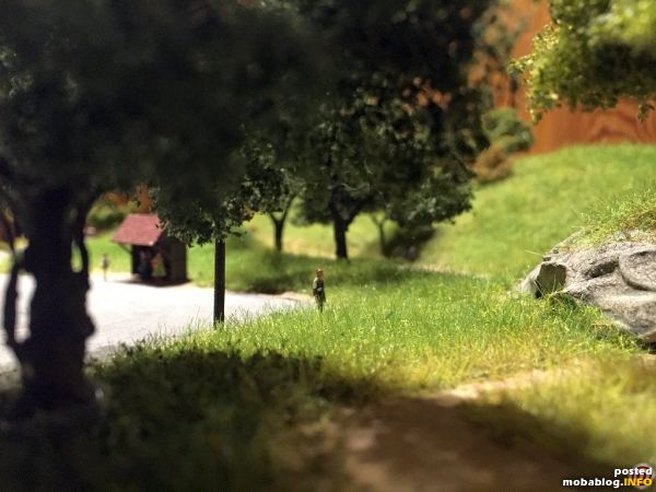 Eine Gruppe von Laubbäumen. Im Vordergrund ist angeschnitten eine Kastanie von Modelscene zu sehen, welches mich dann letztendlich dazu bewog, die Laubbäume selbst herzustellen.