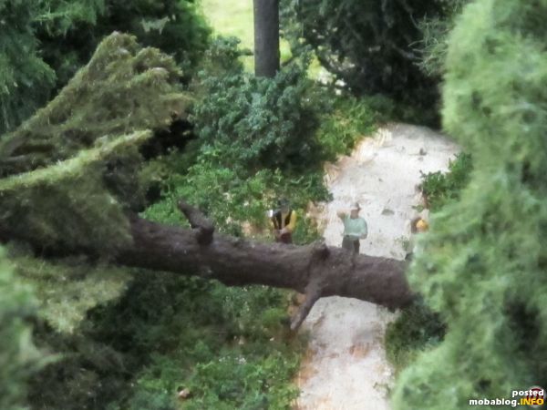Hier ist der Baum bereits gefallen - die Forstarbeiter sind zufrieden mit ihrem Werk.