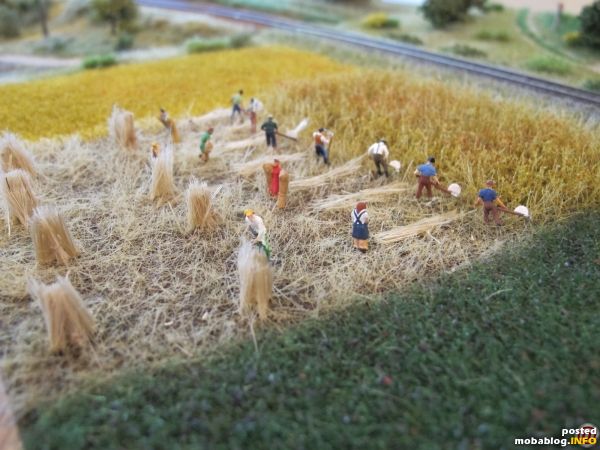 Draußen am Feld sind die Erntearbeiter bereits in vollem Einsatz.