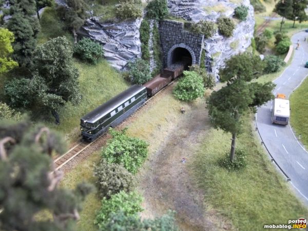 Eine Diesellok der Reihe 2050 verlässt mit ihrem Zug den Tunnel bei Türnitz.