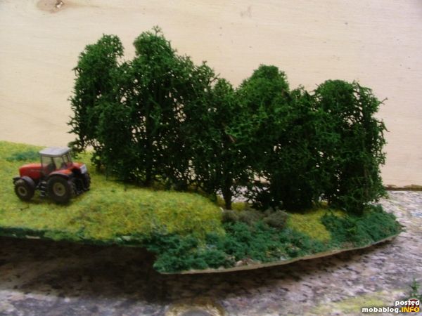 Mit Islandmoos begrünt...