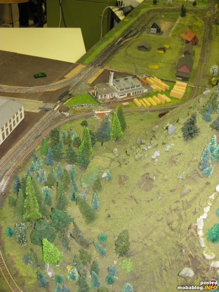 Blick vom Berg auf das davorliegende Sägewerk
