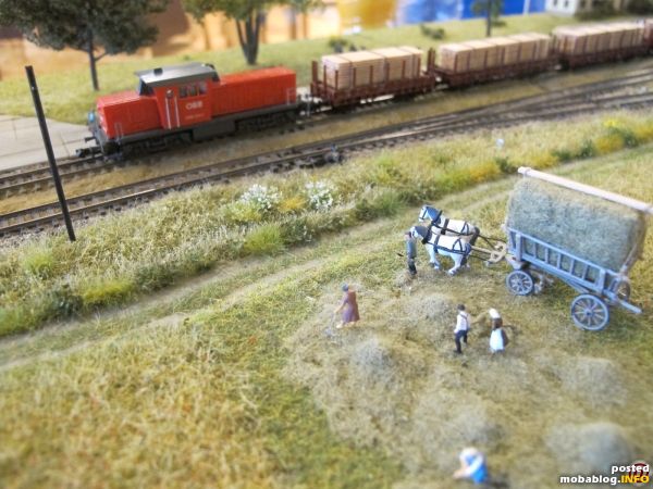 Landwirtschaftliche Szenen dominieren die Weinviertel-Module, im Hintergrund ist eine ÖBB Reihe 2068 (Eigenbau/Kleinserie) mit einem Schnittholzzug abfahrbereit.
