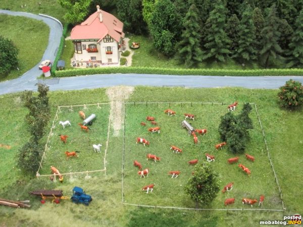 Neben dem Bauernhof befinden sich Weideflächen, welche mit feinen Zäunen abgegrenzt wurden.