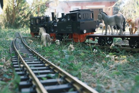 Nachdem die Erwachsenen sich ausgepowert hatten, kam die Stunde der Schleichtiere!