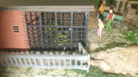 Der ganze Stolz des Zoos und dabei sehr schüchtern - der Große Panda