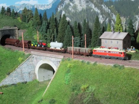 Eine 1142 rollt mit einem gemischten Güterzug am Pettenbachgraben talwärts