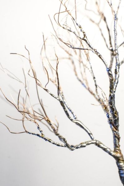 Detail mit Kronenverdichtungsdr&auml;hten