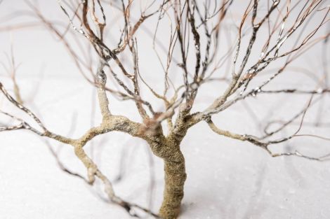 Rindendarstellung aus feinem Sand