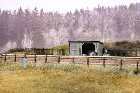 Die Dame hat beim L&ouml;sen von den Supports ihre F&uuml;&szlig;e verloren und musste daher im Gras positioniert werden ... sie ruft hier wahrscheinlich ihren Eisenbahn-begeisterten Sohn nach Hause